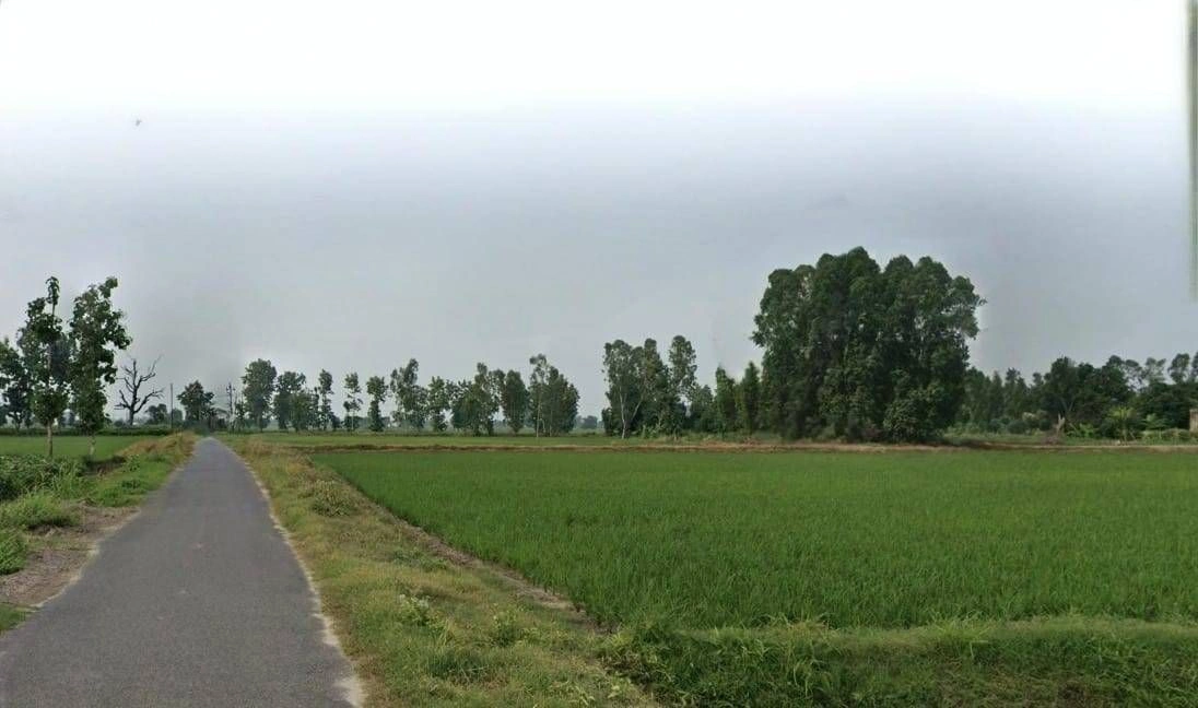 Sikandarabad, Madhya Pradesh 462044, India