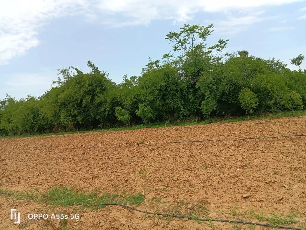NH 52, Tonk, Shiv Nagar, Niwai, Rajasthan, India