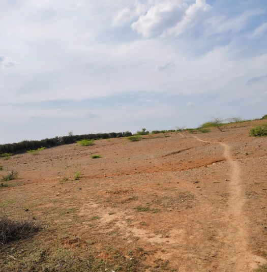 8355+W7W, Bhilwara, Bhawani Singh Ka Khera, Rajasthan 311601, India