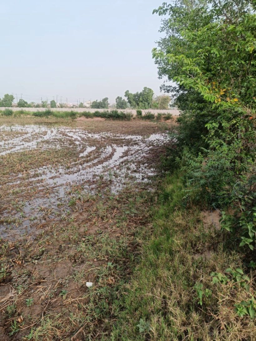 Ajhai Kalan, Uttar Pradesh 281406, India