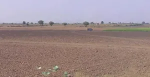 Mana, Madhya Pradesh 465667, India preview 3