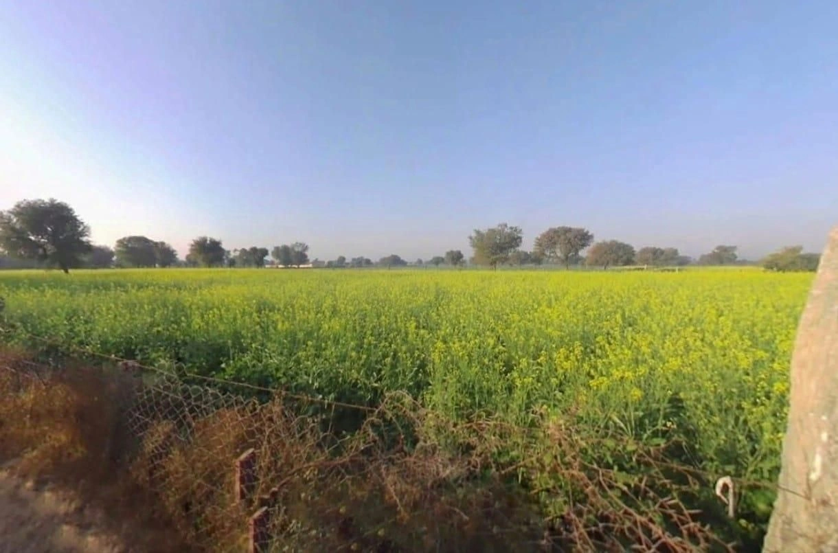 Nahariya ka bass, PV64+J4X, Jai Anandpura, Rajasthan 303903, India