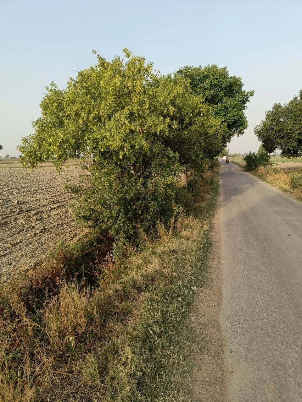 Tentigaon, Uttar Pradesh, India