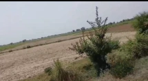 QJM5+HJ8, Mathura, Shergarh, Shergarh Khadar, Uttar Pradesh 281404, India