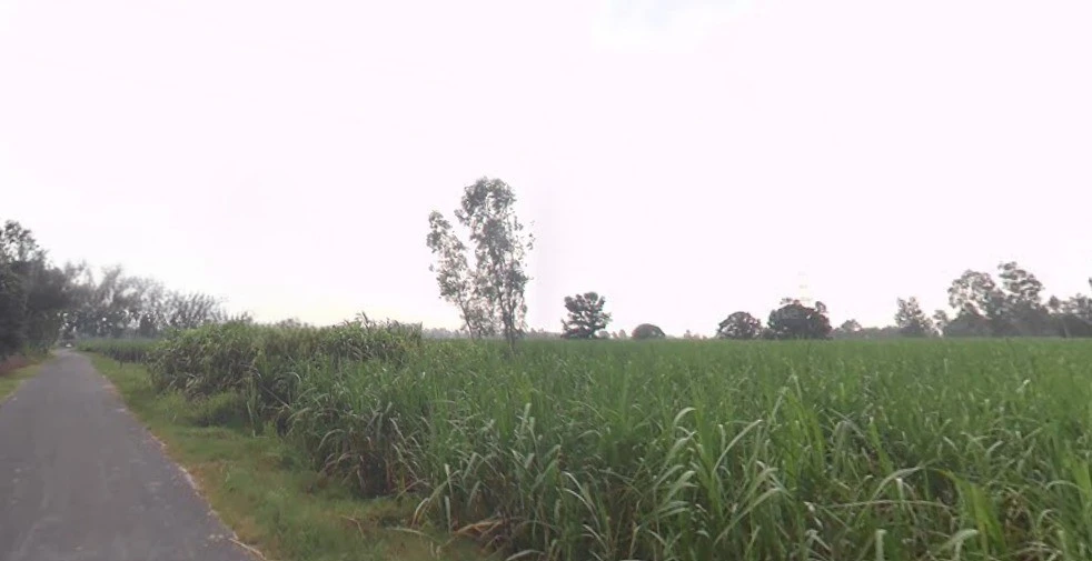 Khirwa Rd, Nangla Tashi, Meerut, Uttar Pradesh, India