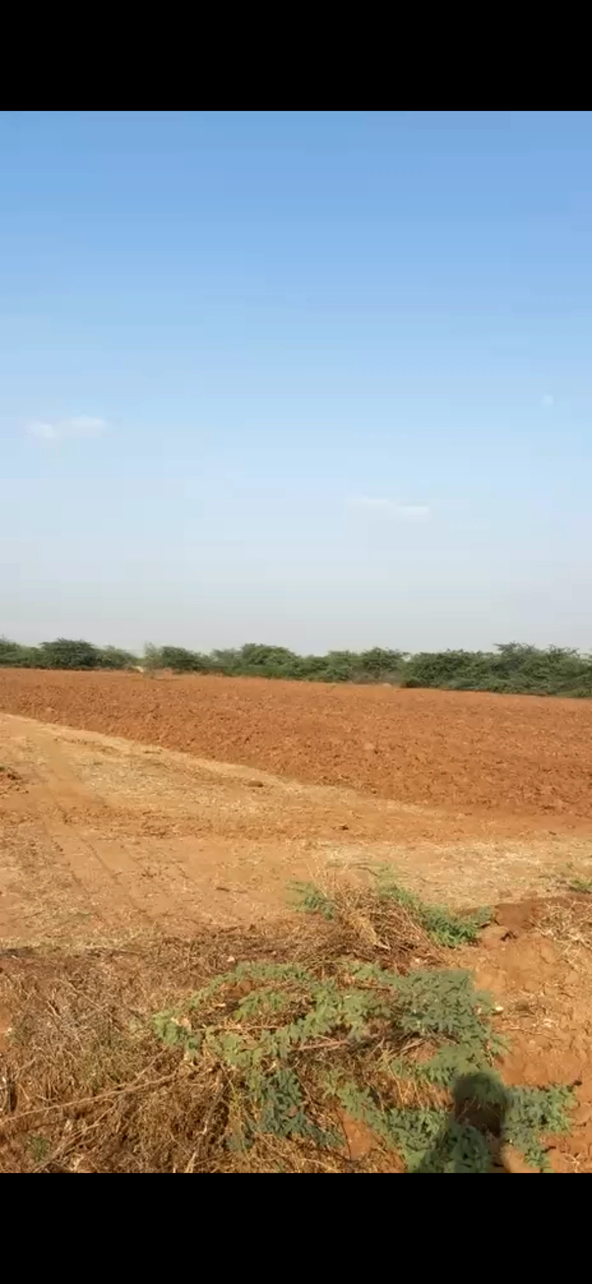 Badgaon, Rajasthan 307027, India