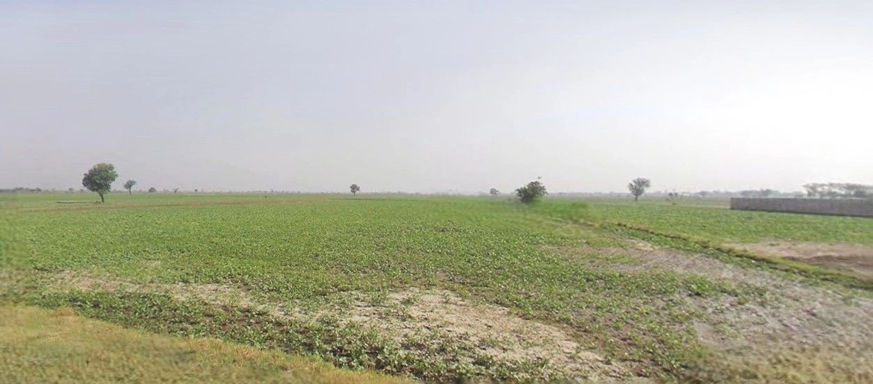 Ramnagar, Uttarakhand 244715, India