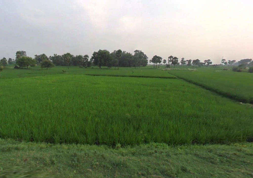 Sarakhi, Chhattisgarh 493661, India preview 3