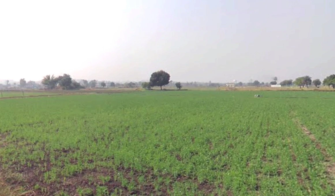 Bhopal Rd, Berasia, Madhya Pradesh, India