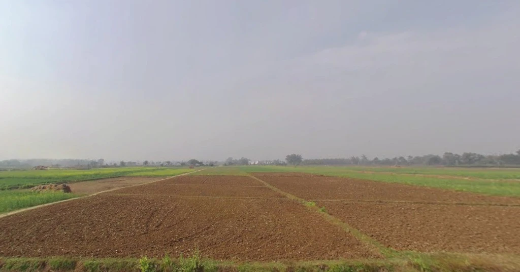 Harpura, Bihar, India