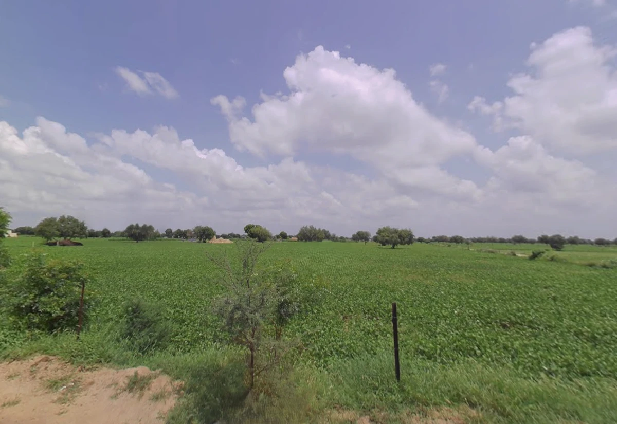 Balsamand, Haryana 125004, India