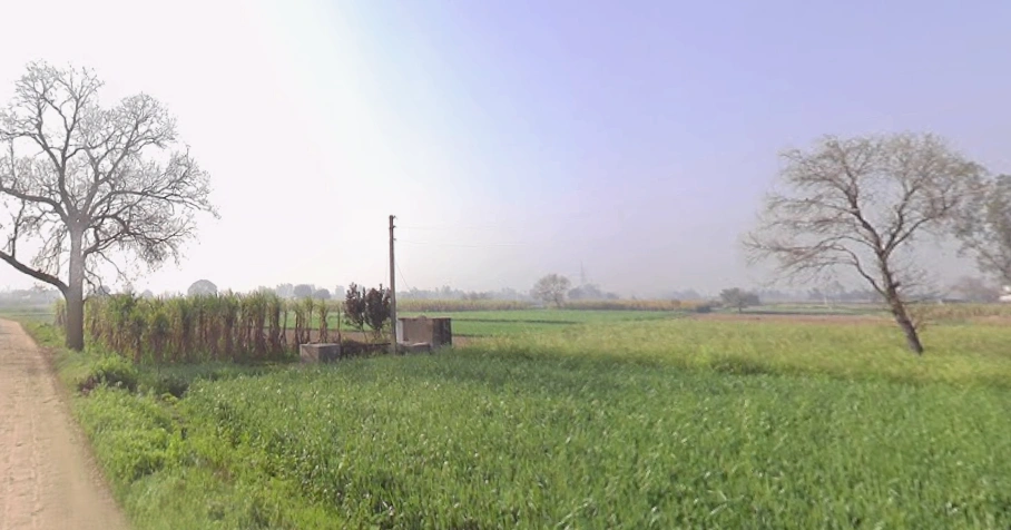 Tahsil, Bhainsa, Mawana, Uttar Pradesh 250401, India
