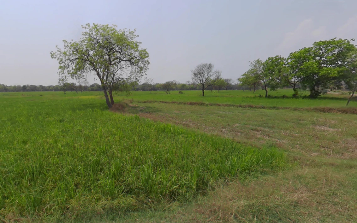 Devgaon, Chhattisgarh 495691, India