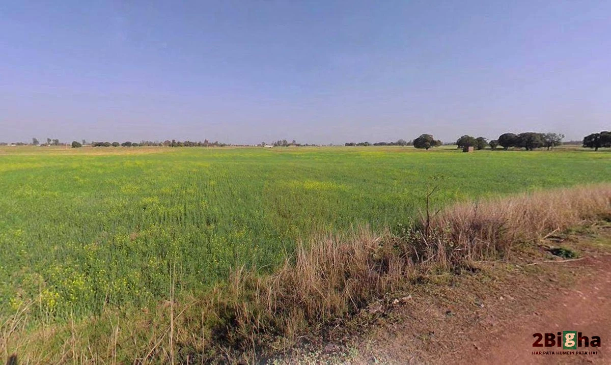 Palwal, Haryana 121102, India