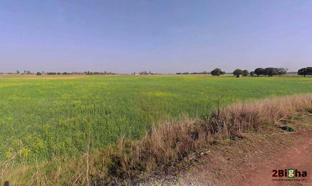 Palwal, Haryana 121102, India