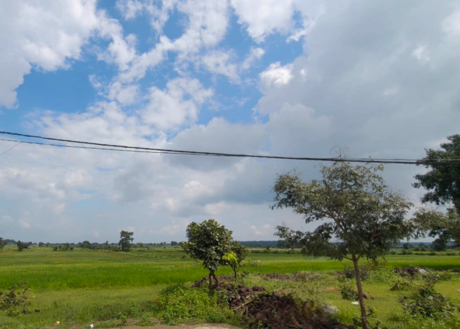 Kedarpur, Seoni, Madhya Pradesh 480997, India - Photo 2