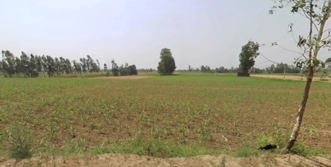 Kanth, Uttar Pradesh 244501, India