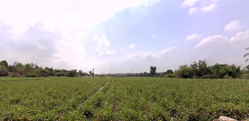 Mulbagal, Karnataka 563131, India preview 3