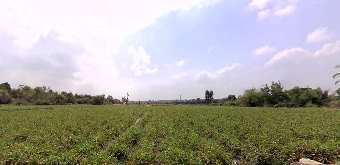 Mulbagal, Karnataka 563131, India