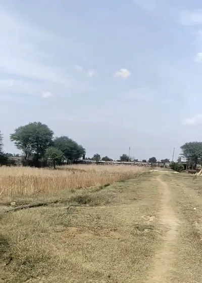 CRHV+7V2, Tonk, Lodhera, Rajasthan 304022, India preview 3