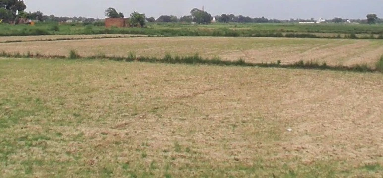 Biaora, Madhya Pradesh 465674, India