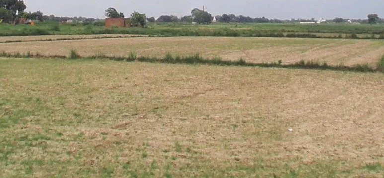 Biaora, Madhya Pradesh 465674, India preview 2