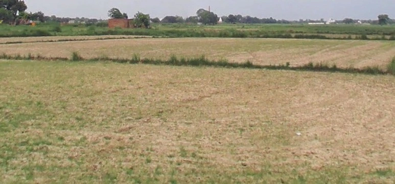 Biaora, Madhya Pradesh 465674, India