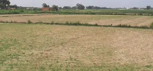 Biaora, Madhya Pradesh 465674, India preview 2