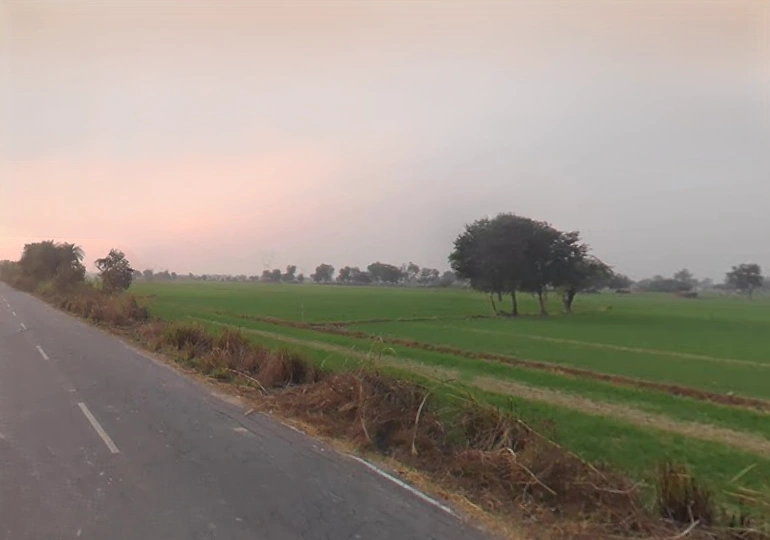 Jalesar, Uttar Pradesh 207302, India