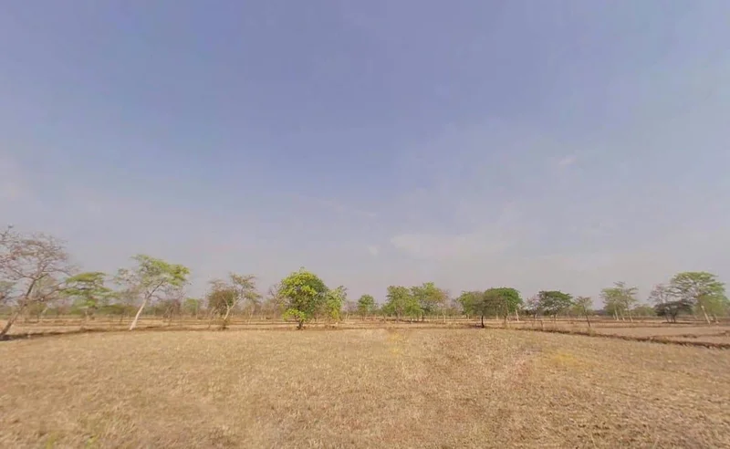 8X56+GRJ, Khamhnia, Chhattisgarh 493778, India preview 2