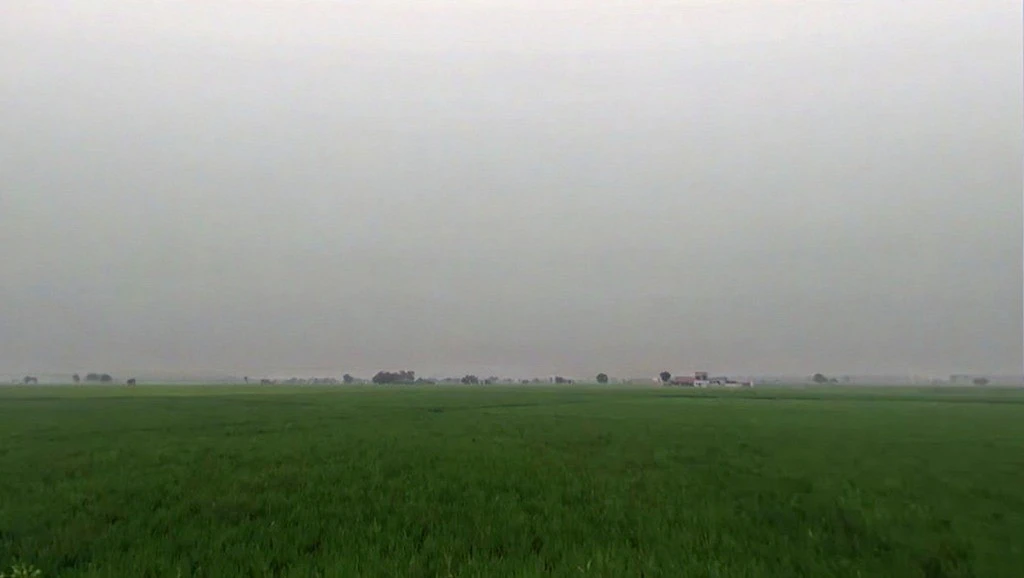 Pharal, Haryana 136021, India