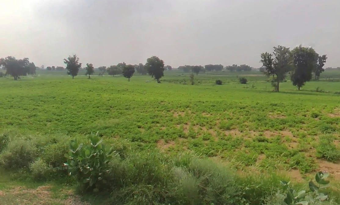 WVM8+576, Arjansar, Rajasthan 334604, India