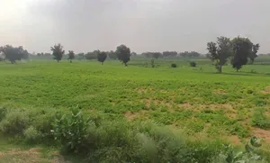 WVM8+576, Arjansar, Rajasthan 334604, India preview 3