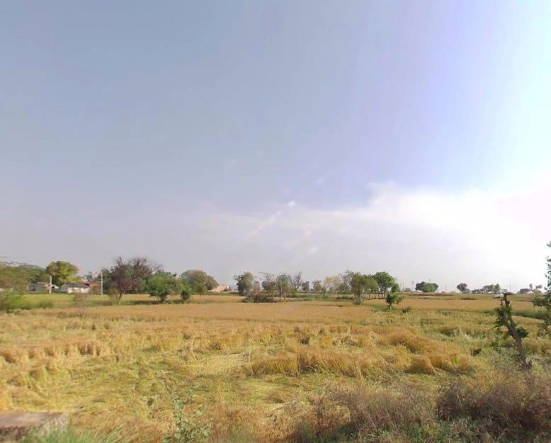 Baghora, Rajasthan 301405, India