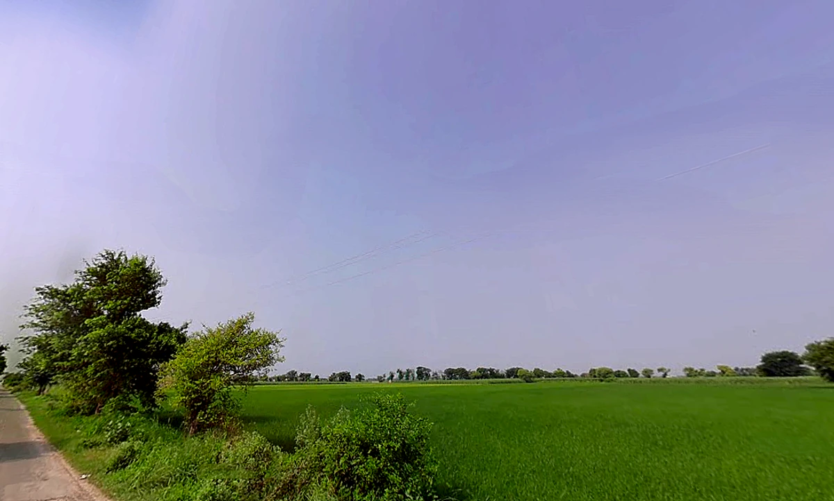 Kurlan, Haryana 132046, India