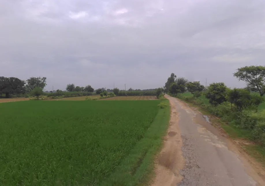 Bahjoi Dehat, Uttar Pradesh 244410, India preview 2