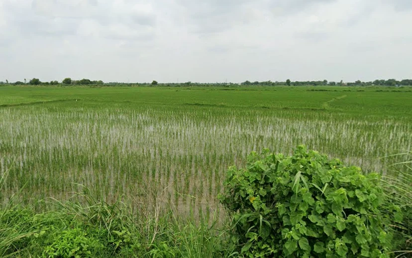 Dhanipur, Aligarh, Uttar Pradesh 202002, India