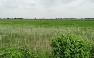 Dhanipur, Aligarh, Uttar Pradesh 202002, India preview 3
