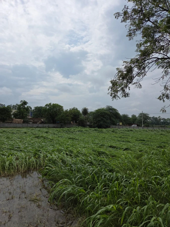 Harchandpur, Haryana 122103, India