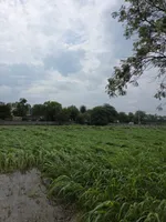Harchandpur, Haryana 122103, India preview 3
