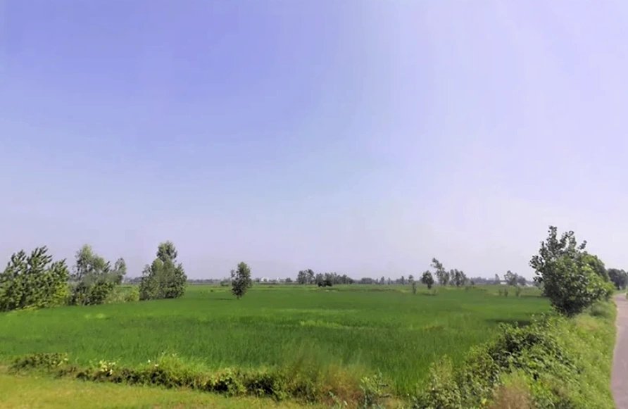 Bilaspur Kalan, Haryana 122413, India