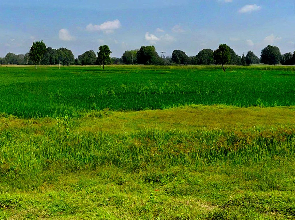 Rasni, Chhattisgarh 493441, India