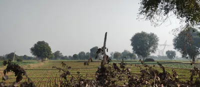 New Chandigarh, Punjab 140901, India preview 2