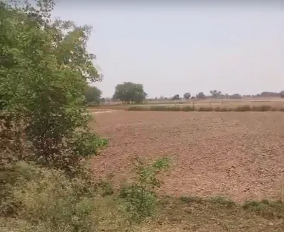 Bharatpur Rd, Bhanpur, Rajasthan, India preview 2