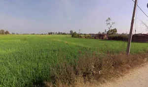 Gharaunda, Haryana 132114, India preview 3