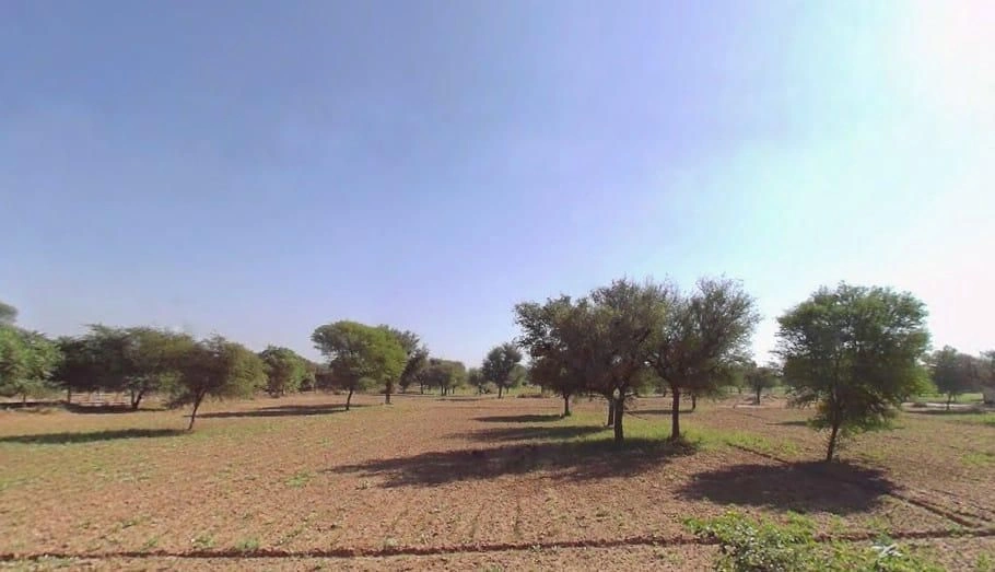 Bilonchi, Rajasthan 303805, India