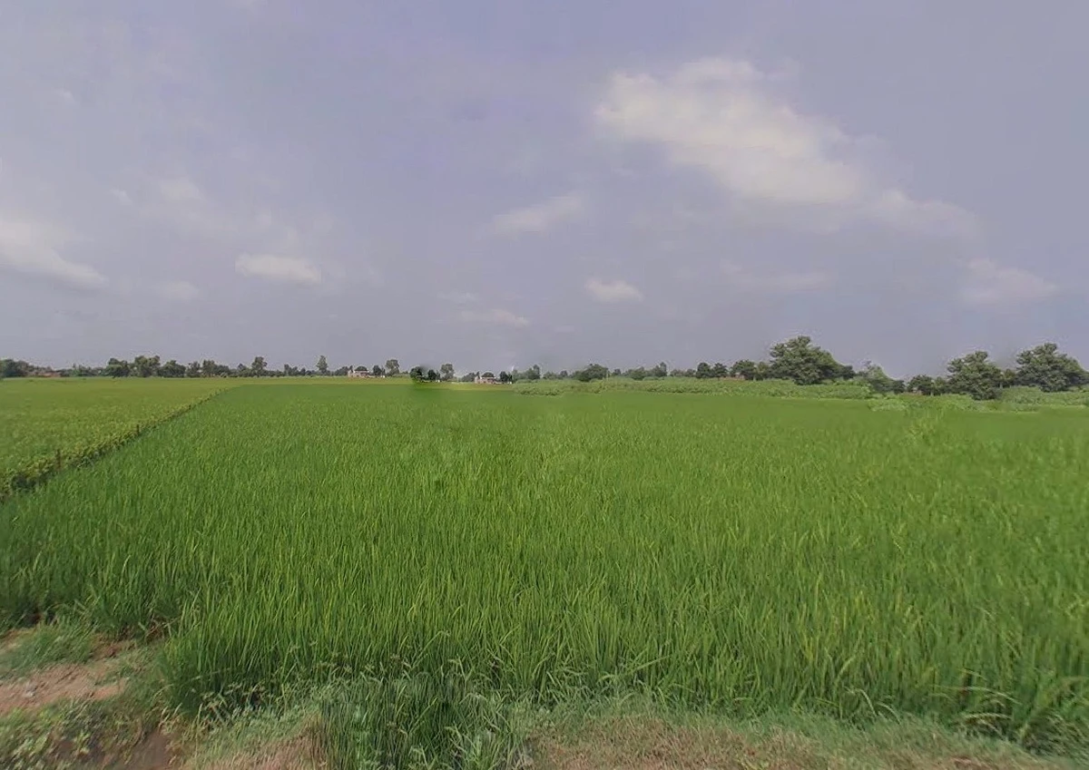 Bihta, Bihar 801103, India