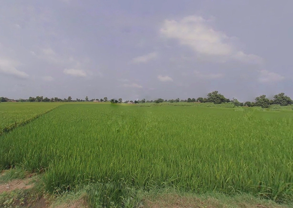 Bihta, Bihar 801103, India