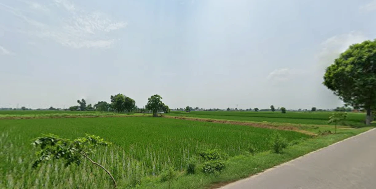 Kalwa, Punjab 147021, India