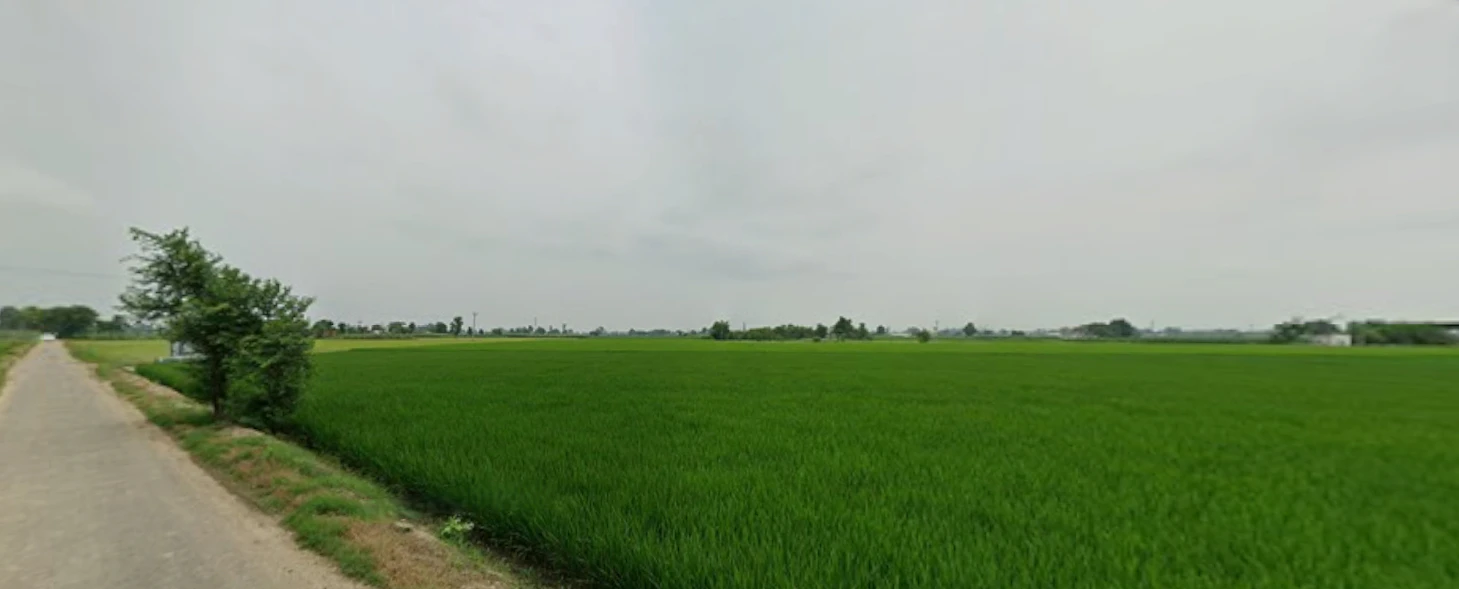 Fagan Majra, Punjab 147006, India
